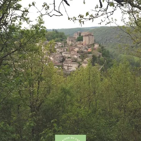 Maison Au Bord De La Riviere Aveyron - * Bruniquel