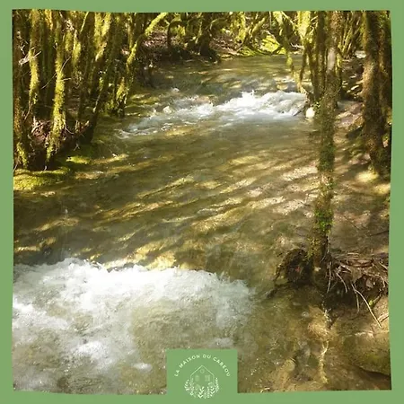 Maison Au Bord De La Riviere Aveyron - بيت للعطل Bruniquel