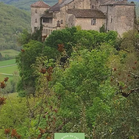 Maison Au Bord De La Riviere Aveyron - Ferienhaus