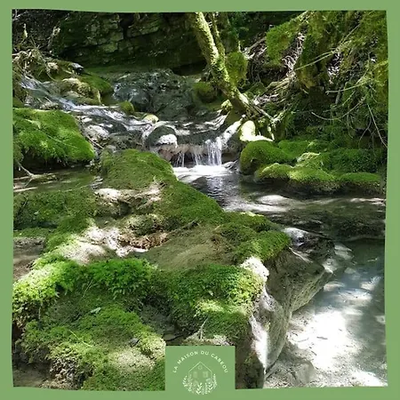 Maison Au Bord De La Riviere Aveyron - Bruniquel