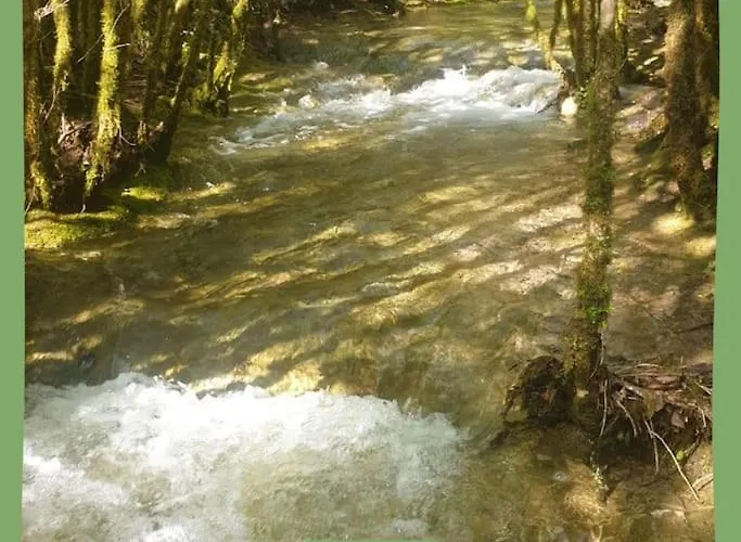 Maison Au Bord De La Rivière Aveyron - Casa vacanze Bruniquel