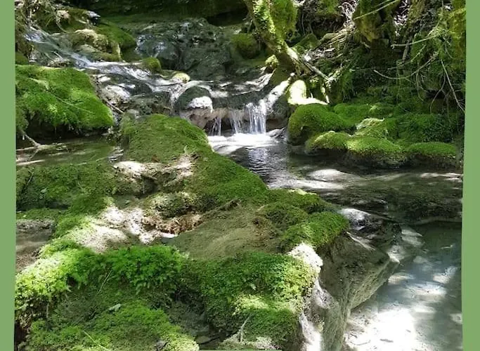 Maison Au Bord De La Rivière Aveyron - Bruniquel