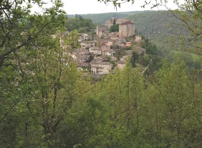 Maison Au Bord De La Riviere Aveyron - * Bruniquel